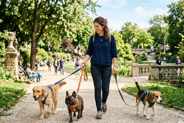 Pet-sitter en Moselle gardant un chien à domicile avec laisse